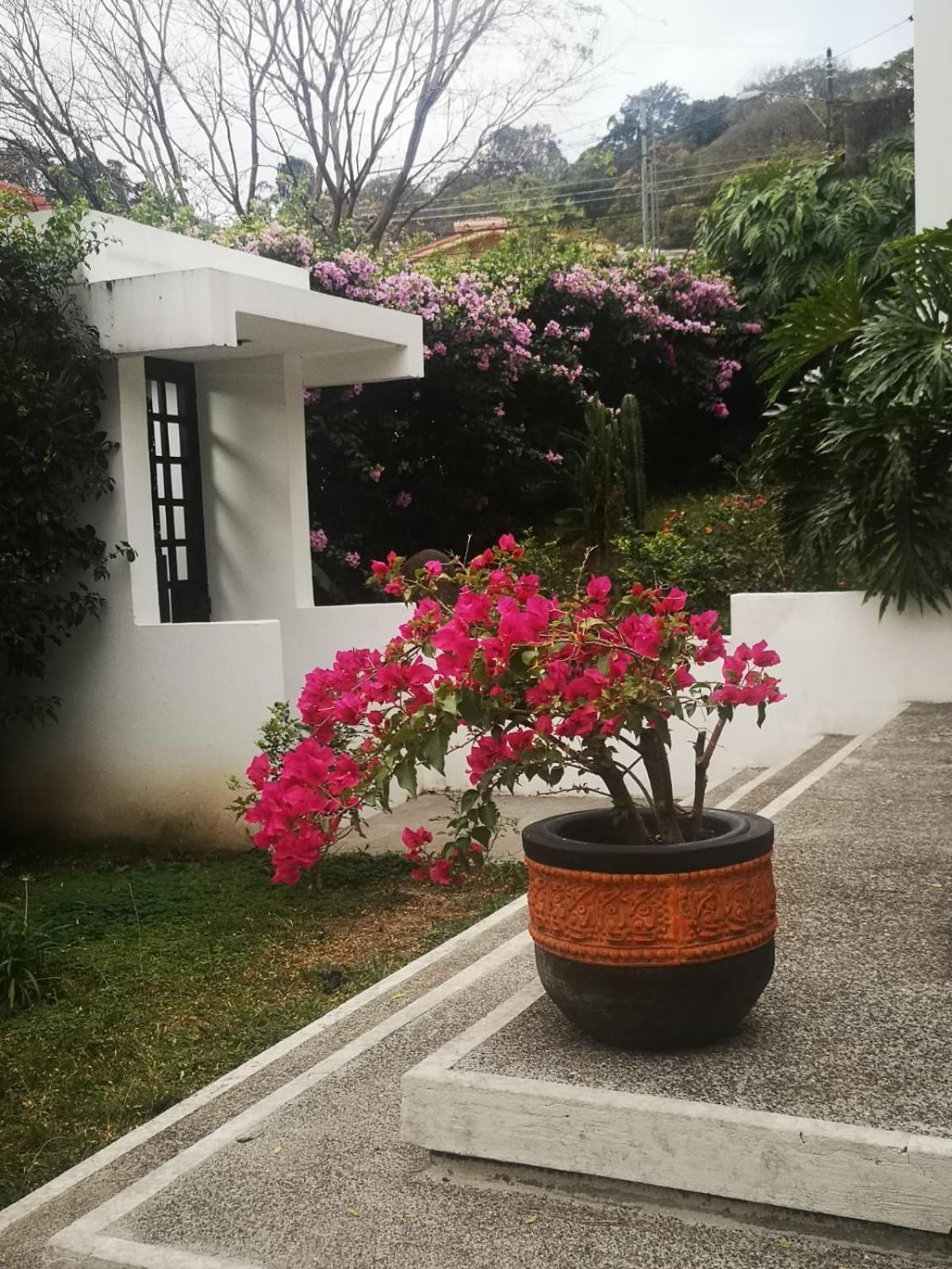 Casa Marlui-San Jose Daire Curridabat Dış mekan fotoğraf