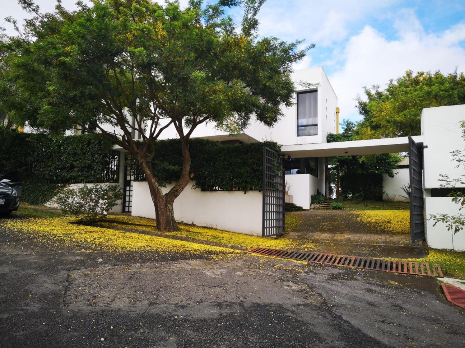 Casa Marlui-San Jose Daire Curridabat Dış mekan fotoğraf