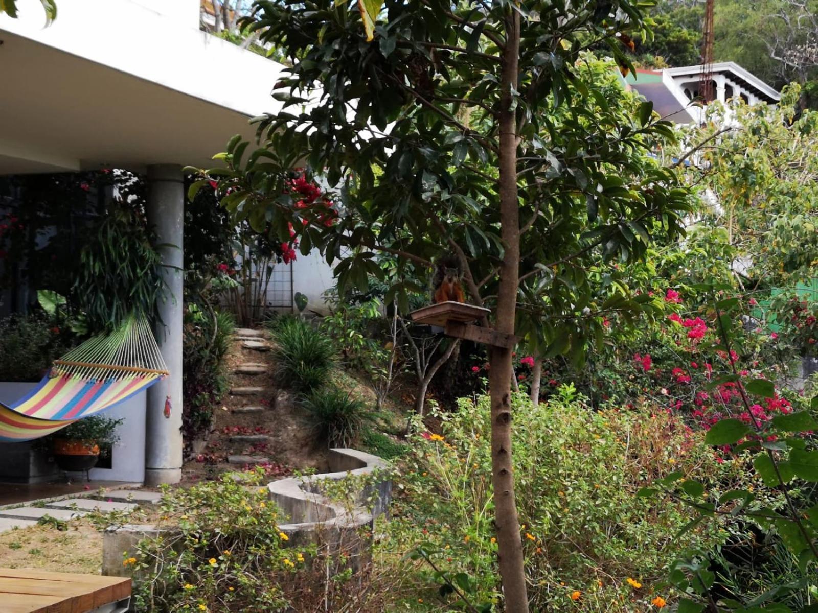 Casa Marlui-San Jose Daire Curridabat Dış mekan fotoğraf