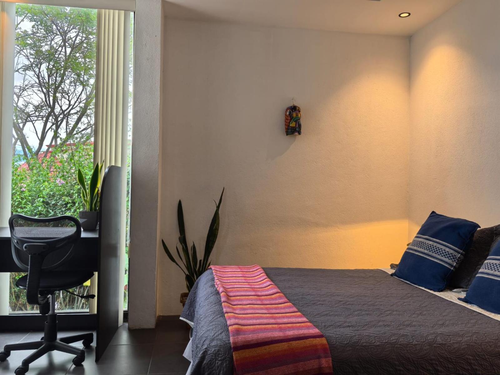 Casa Marlui-San Jose Daire Curridabat Dış mekan fotoğraf