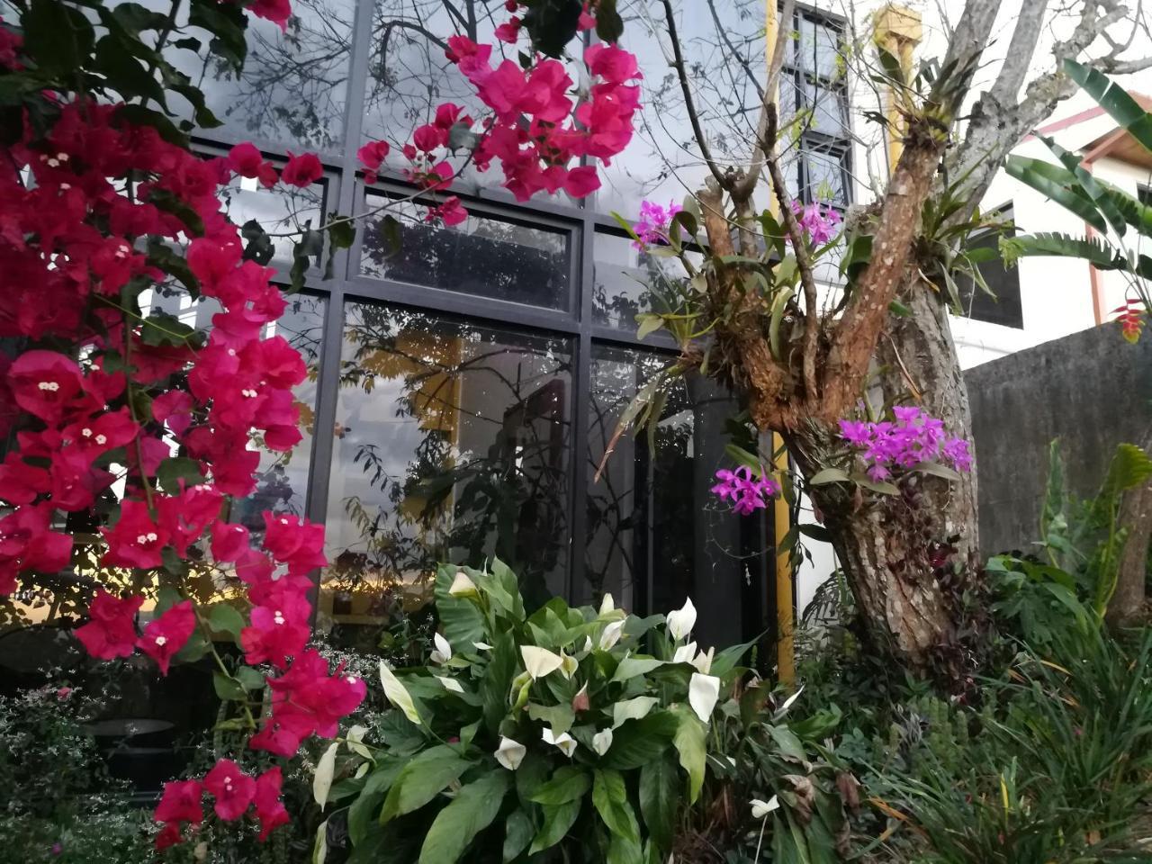 Casa Marlui-San Jose Daire Curridabat Dış mekan fotoğraf